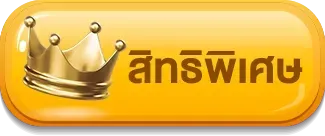 สิทธิพิเศษ mixfun365